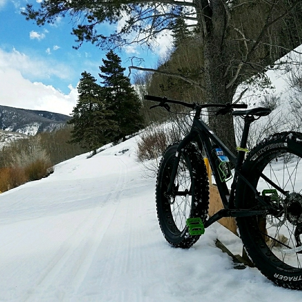 Meet your Posher, Sheena